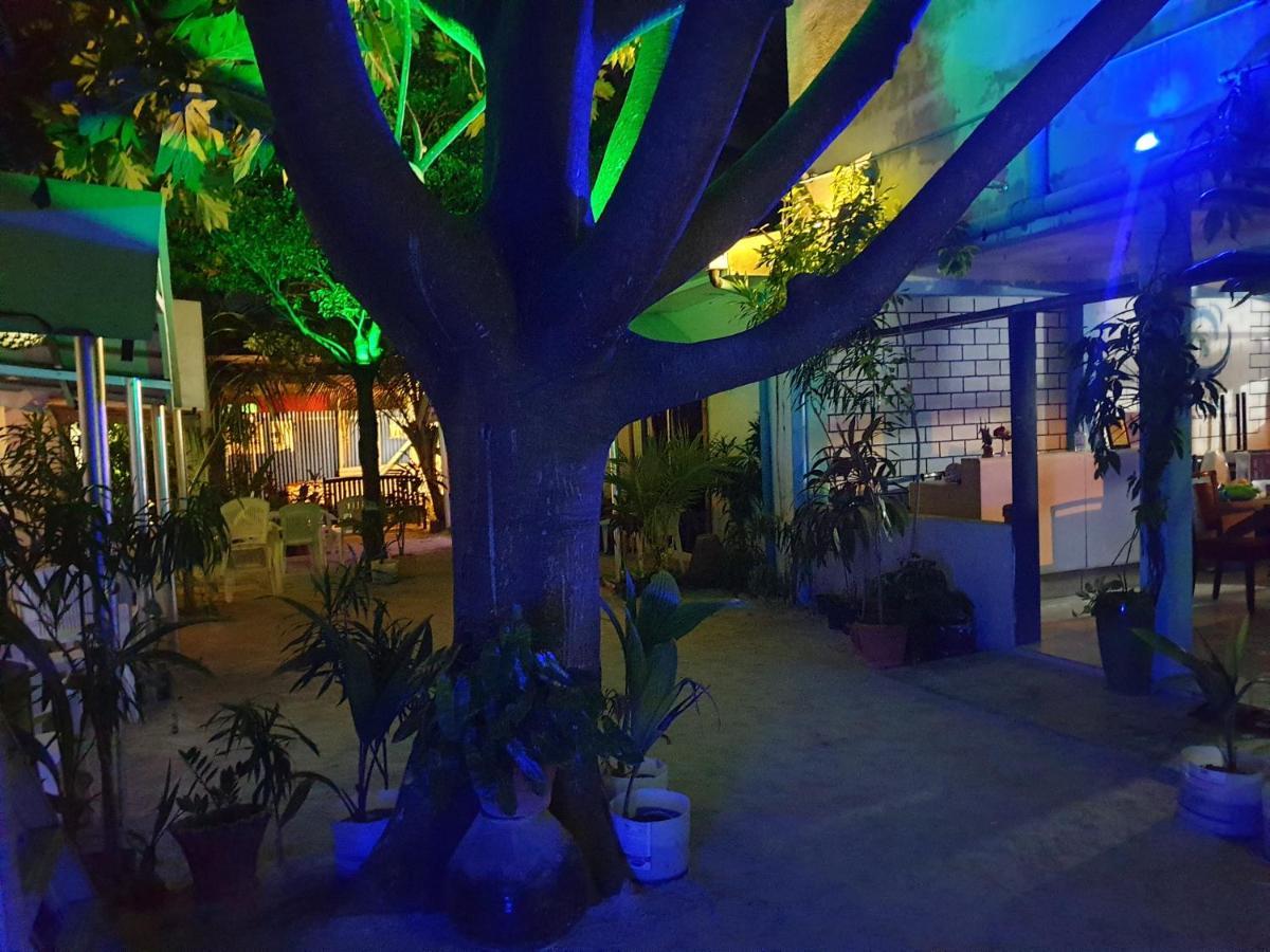 Maafushi View Hotel Екстериор снимка